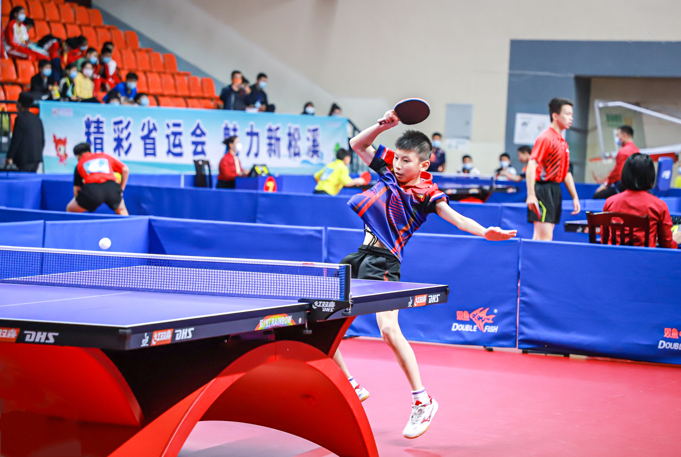 尼亚参加欧 尼亚参加欧